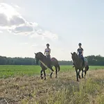 Отель & Restaurant Gutshaus 4*