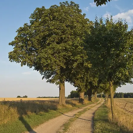 & Restaurant Gutshaus 4* Ludorf