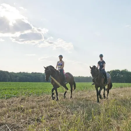 Hotel & Restaurant Gutshaus 4*