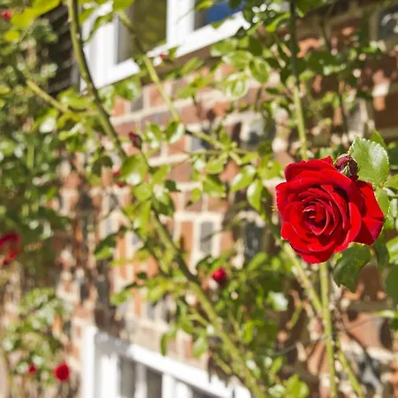 & Restaurant Gutshaus 4* Ludorf