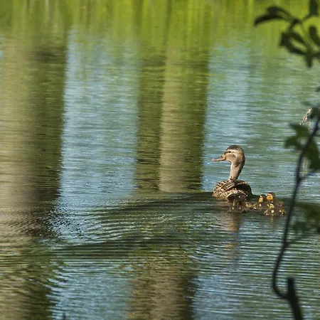فندق & Restaurant Gutshaus